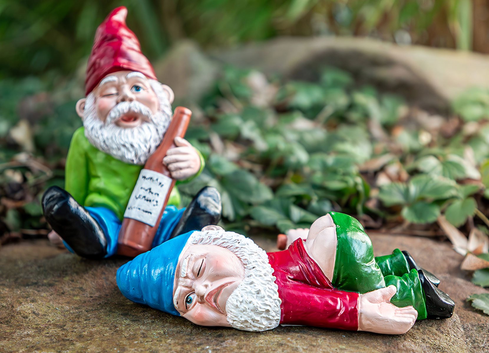 Betrunkener Gartenzwerg