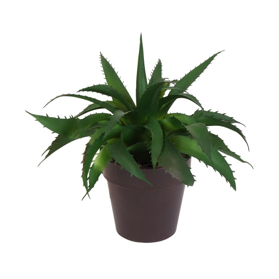 Künstliche Aloe Vera im Kunststofftopf 17cm Dunkelgrün