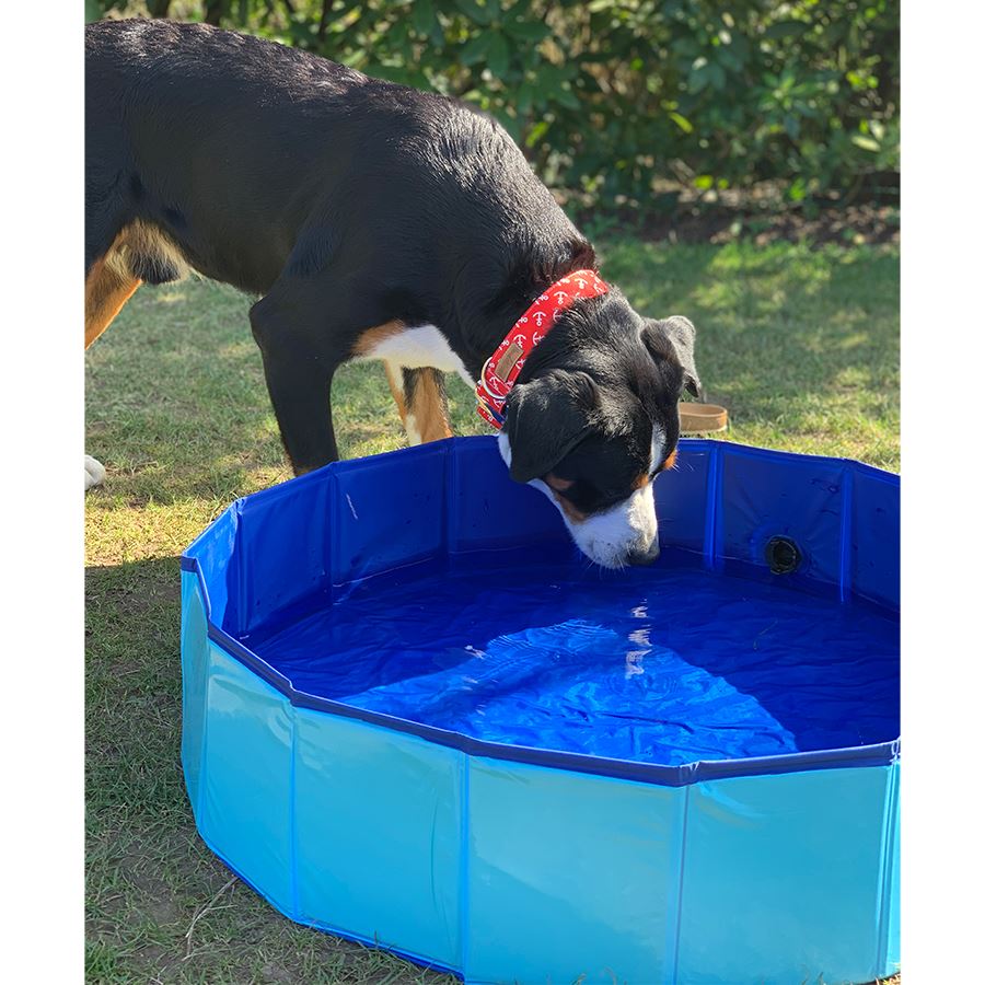 Hundepool 80x20cm Blau Hundepool 80x20cm Blau
