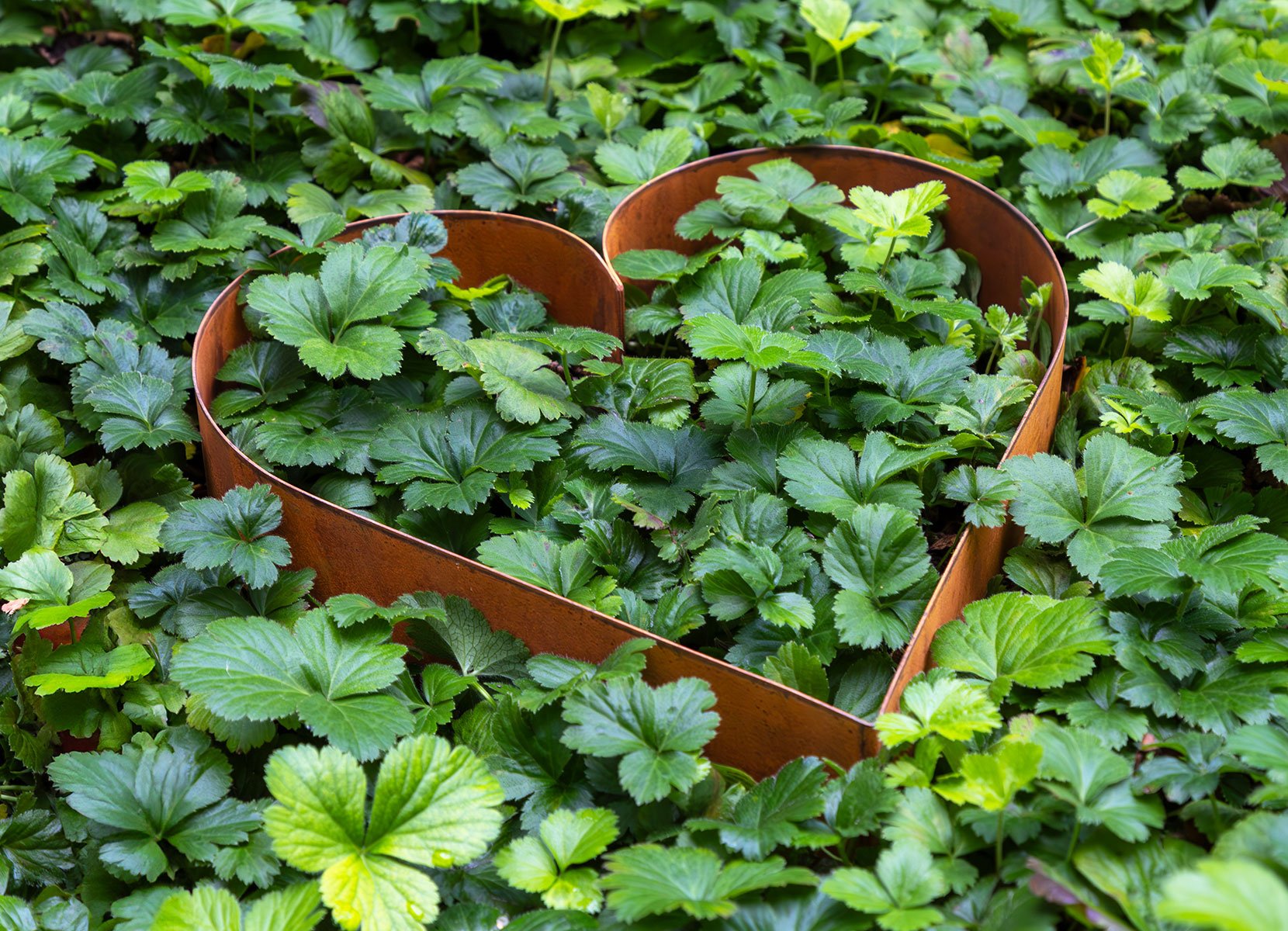 Metall-Dekoherzen 2er-Set Rusty