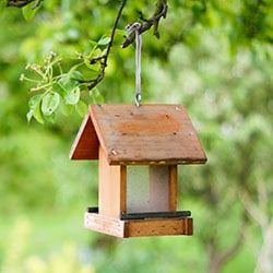 Vogel- und Insektenhäuser