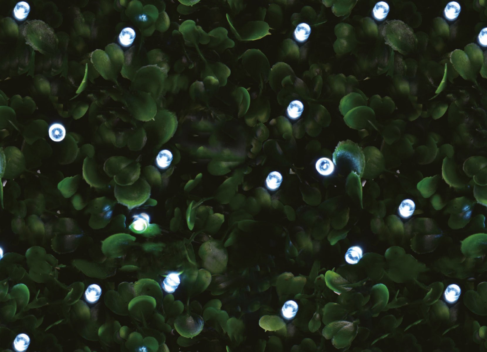 Solar-Lichterkette 6,1m 50 LEDs Kaltweiß