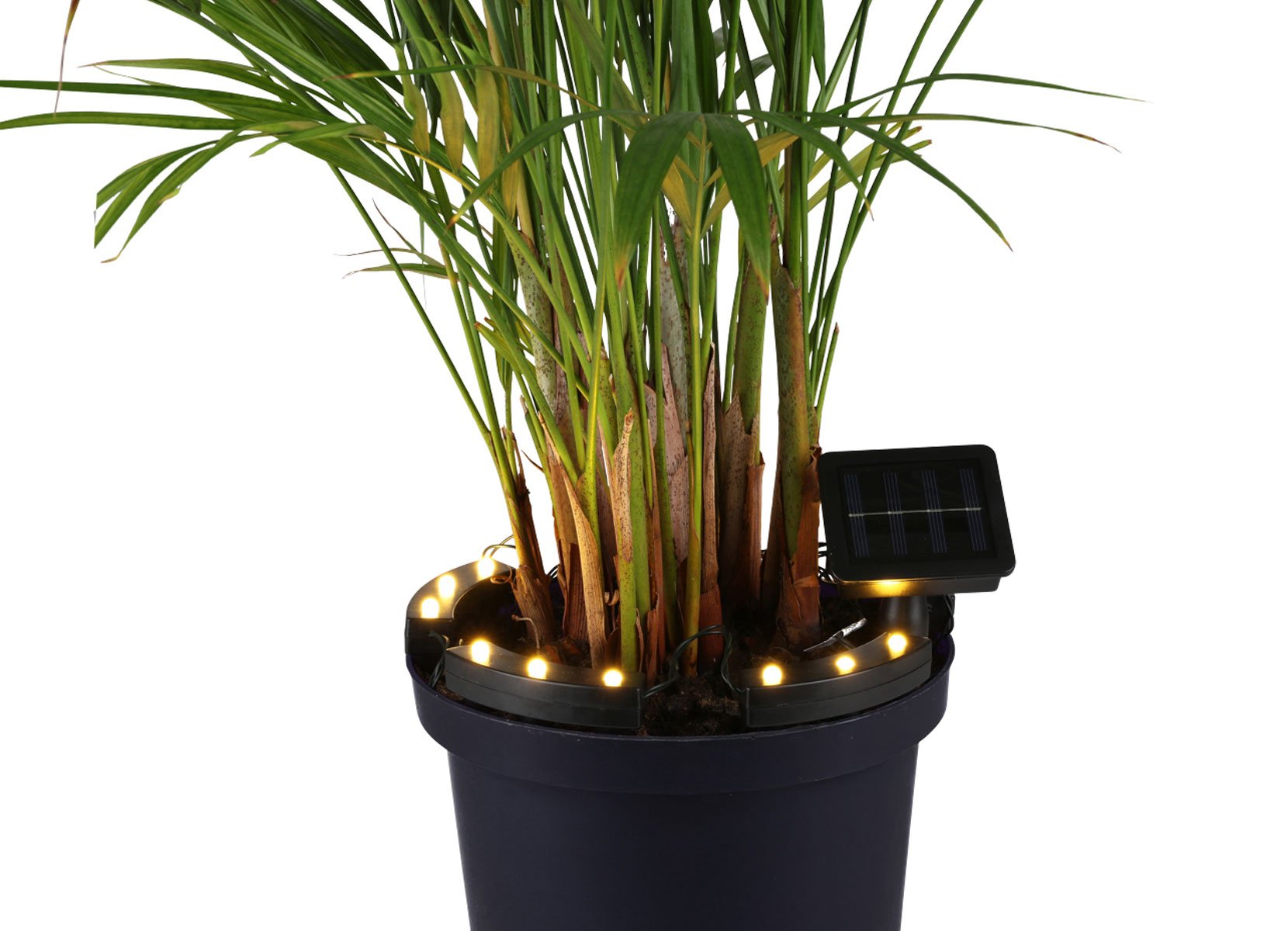 Solar-Pflanzenbeleuchtung 15 LEDs Warmweiß