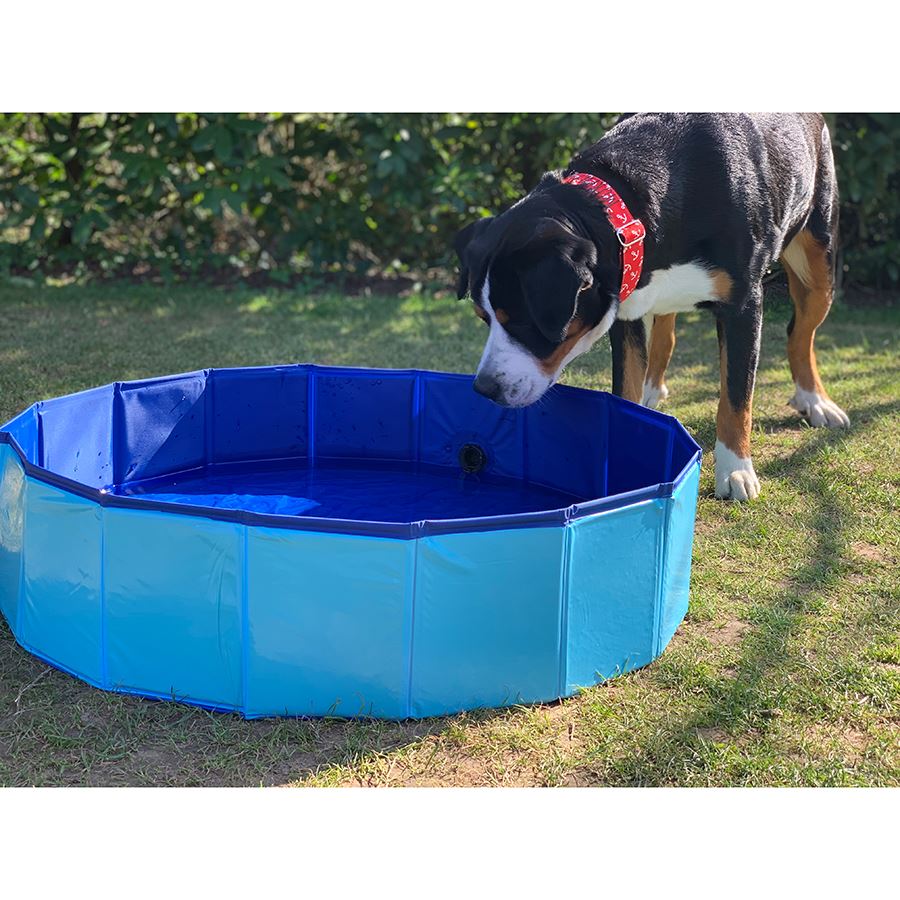Hundepool 80x20cm Blau Hundepool 80x20cm Blau