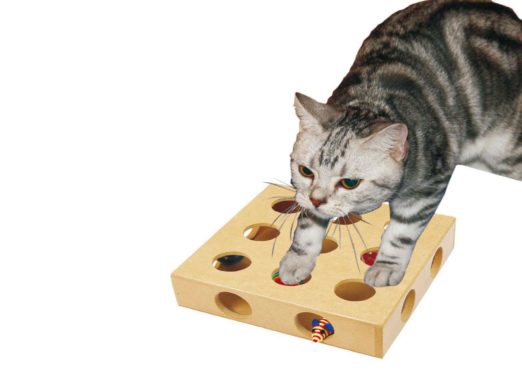 Katzen-Spielkasten mit 4 Spielfiguren