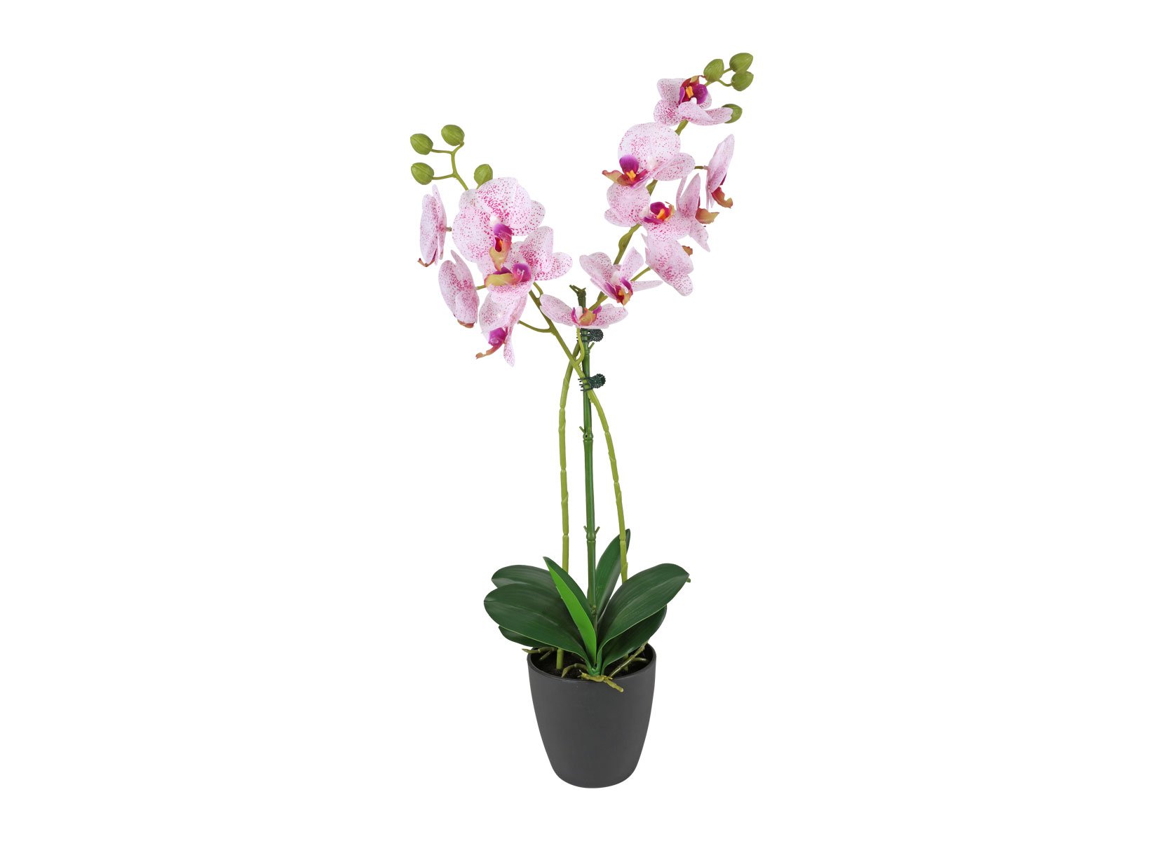 Künstliche Orchidee im Topf 62cm
