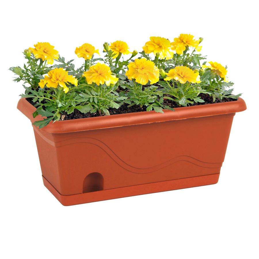 Blumenkasten Titanic 40cm Terrakotta