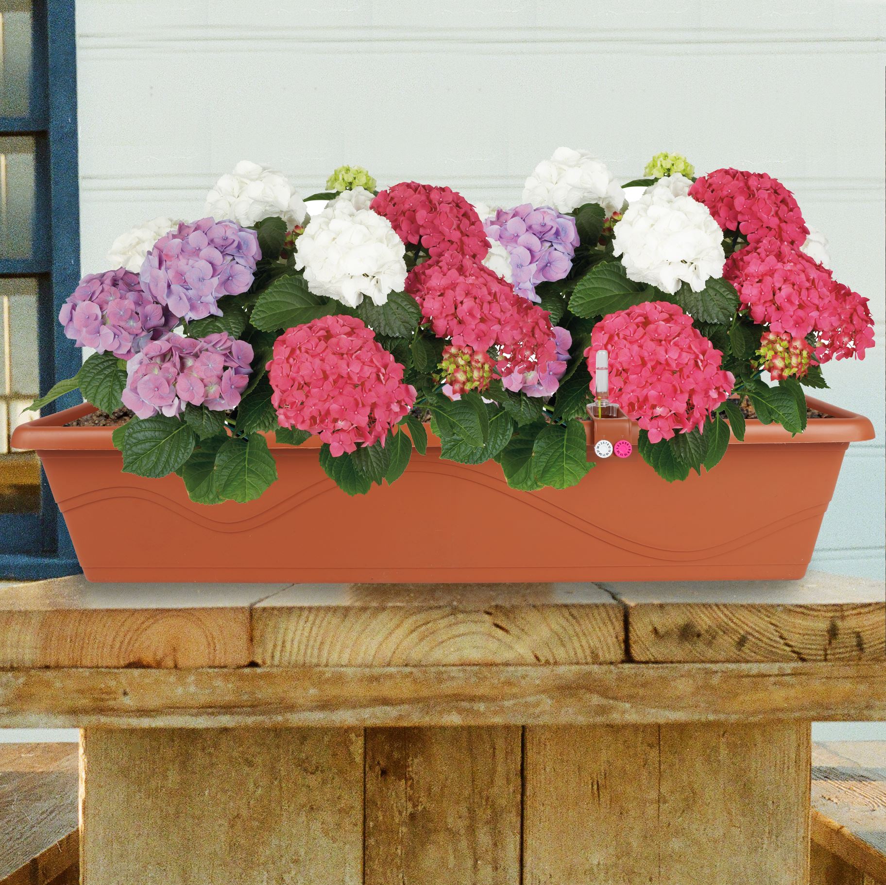 Blumenkasten Extra Line mit Bewässerungssystem 79x16,5x20,5cm Terrakotta