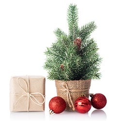Weihnachtsbäume und Zubehör