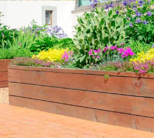 Blumen im Hochbeet