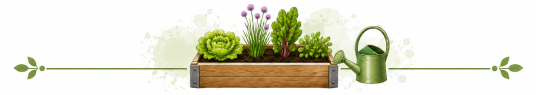 hochbeet-trenner