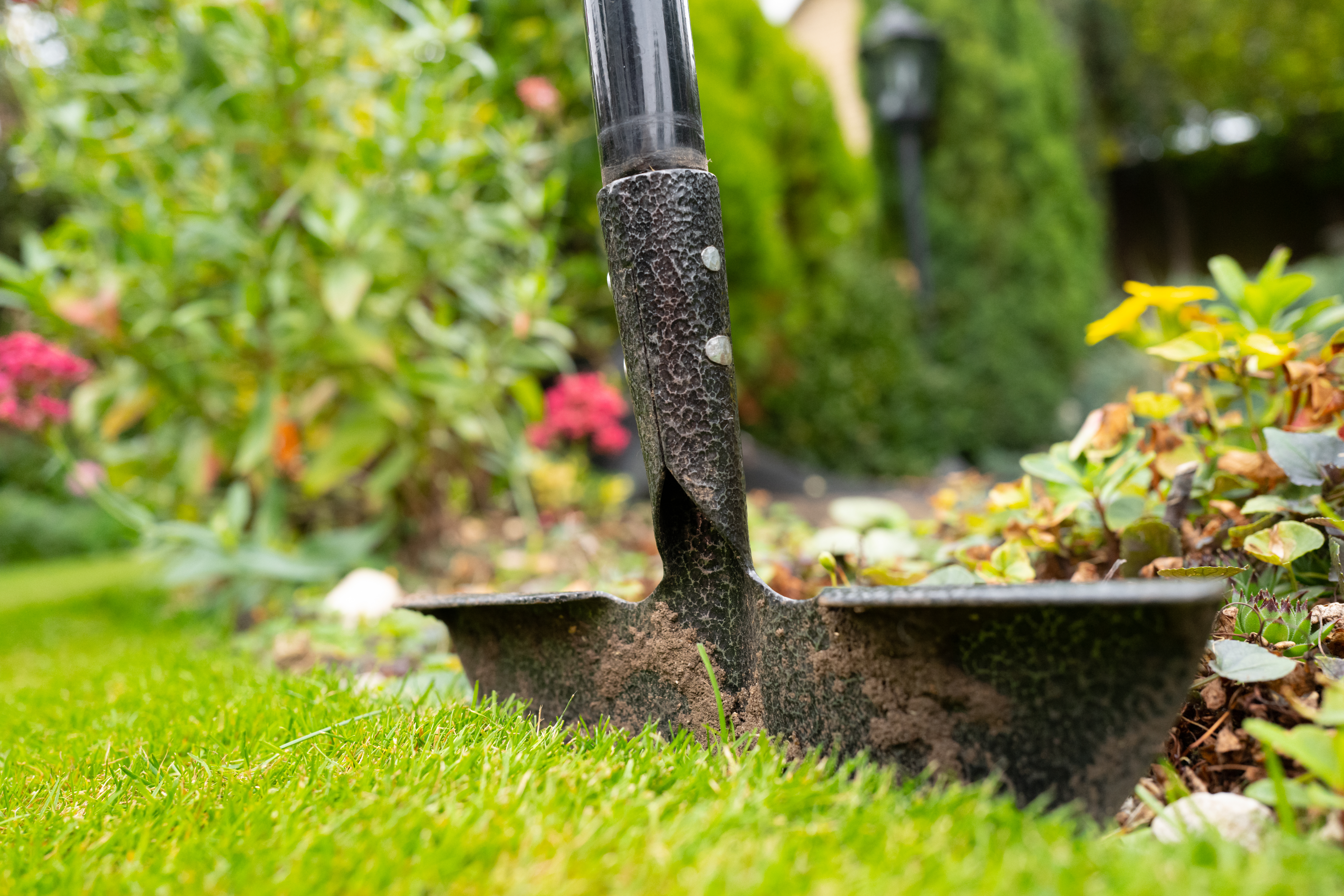 AdobeStock_462925617