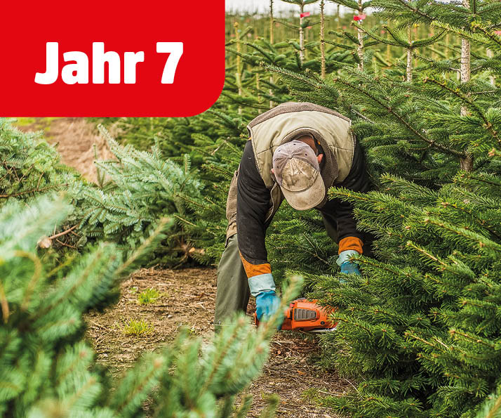 Hangtag-Images_NEU_3