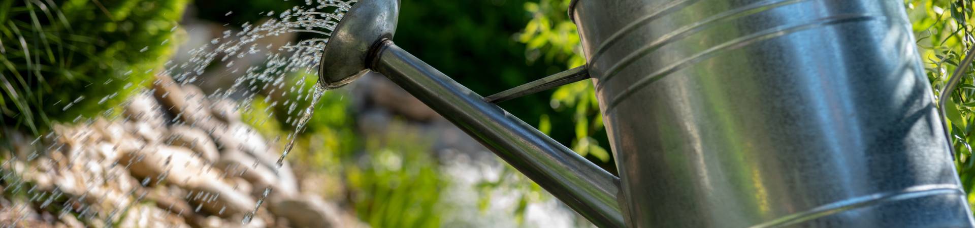 garten-richtig-bewaessern-header