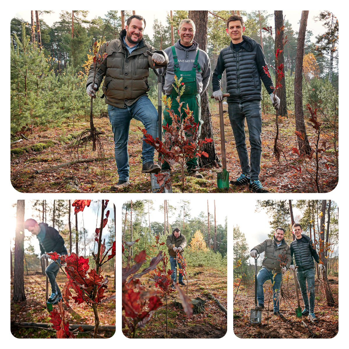 Plant_my_Tree_Collage_(1)_01948332be35739c934bbb2babbdd811