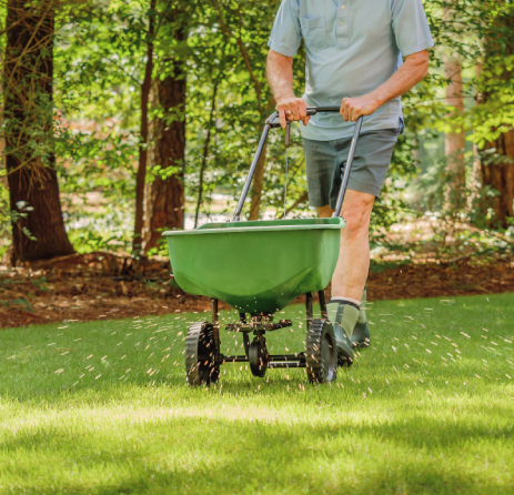 rasen-duengen-vorteile