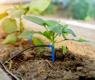 Garten richtig bewässern