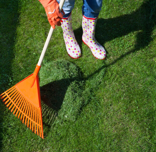 fruehjahr-rasenpflege-reihenfolge