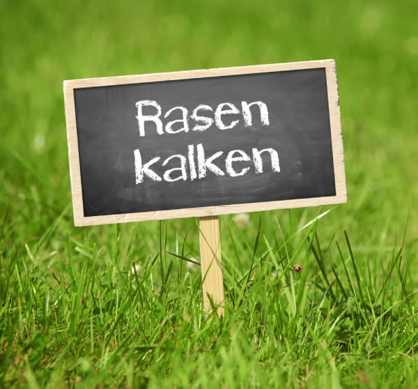 Rasen Kalken 4 Tipps