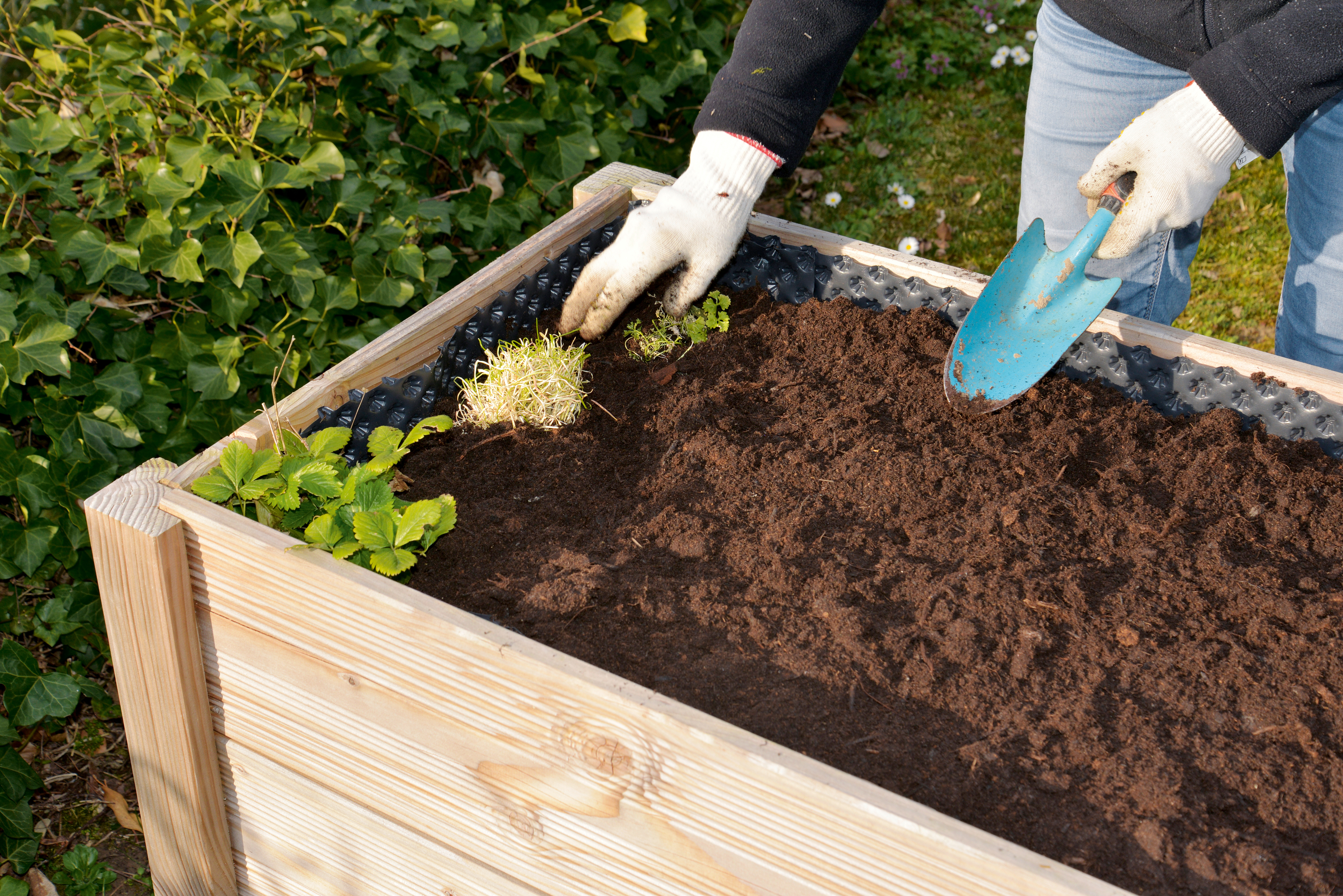 Hochbeet anlegen und bepflanzen – der große Ratgeber