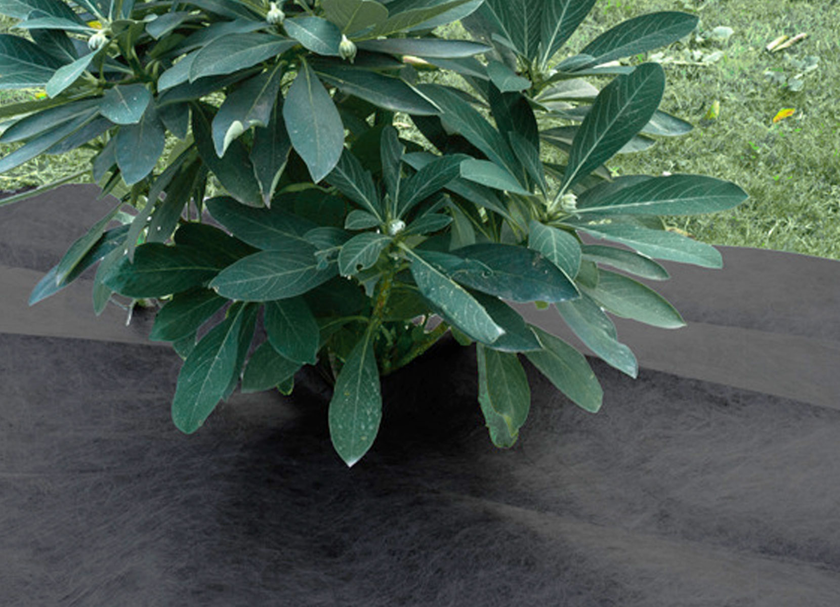 Grüner Jan Premium-Gartenvlies 1x15m