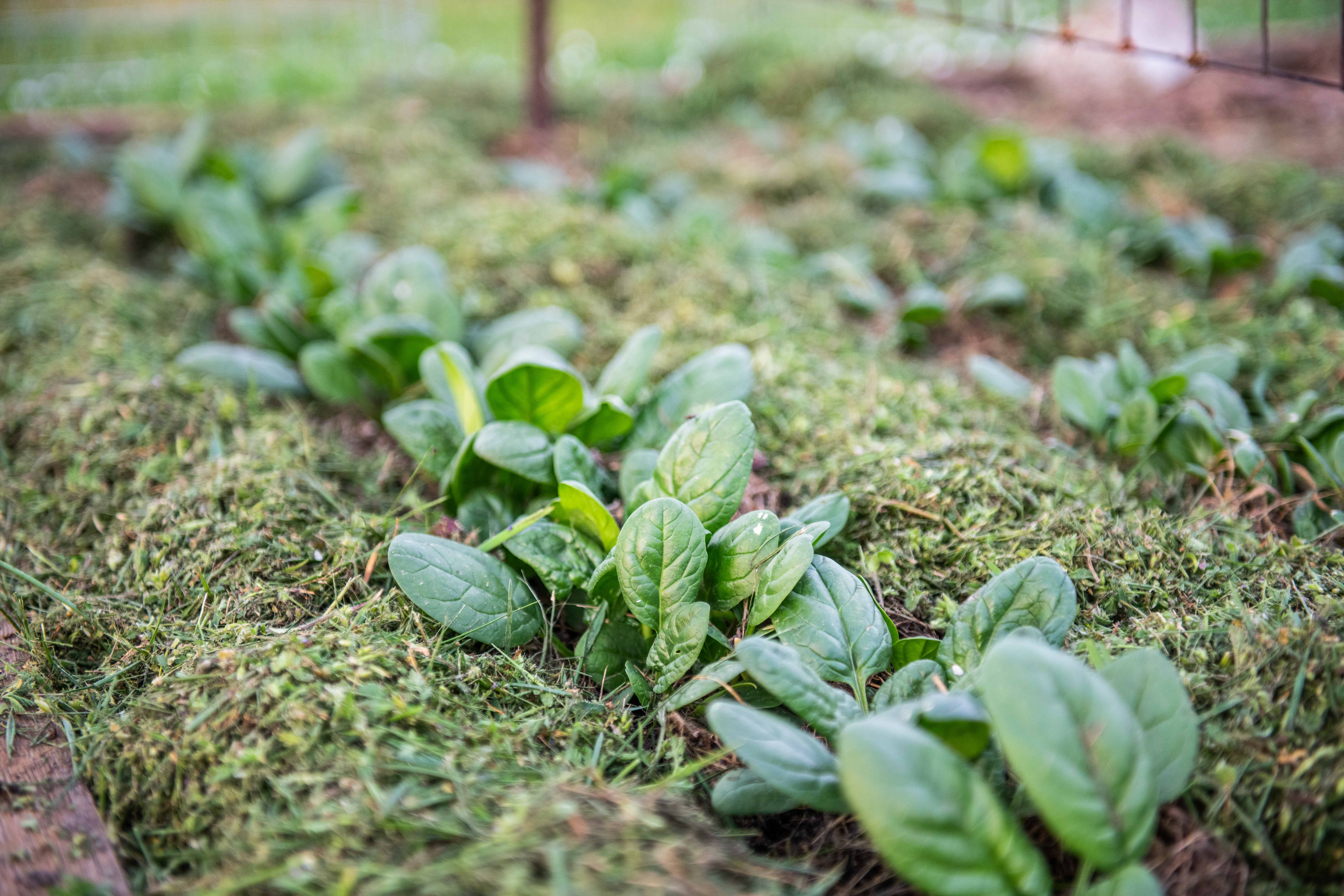 AdobeStock_784674939