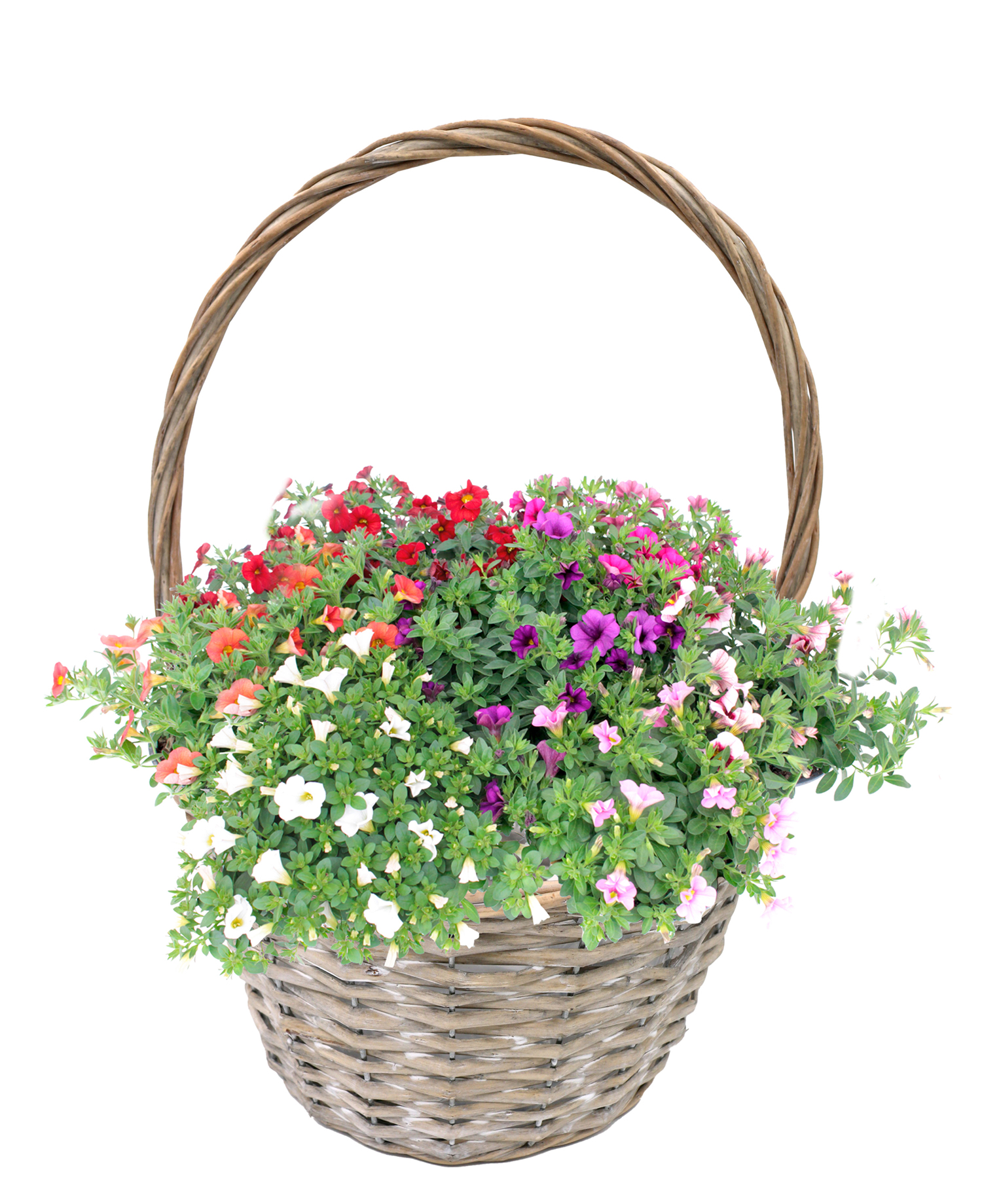 Weiden-Pflanzkörbe mit Henkel 3er-Set