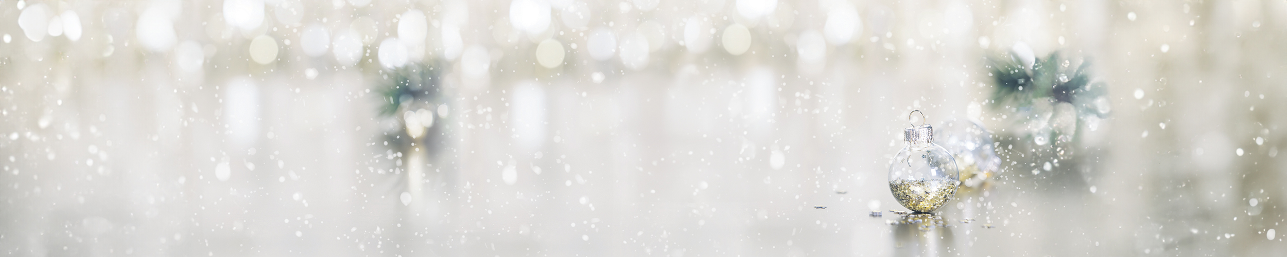 Weihnachtsbaum-Aktion-Banner_(2)