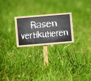 Rasen vertikutieren