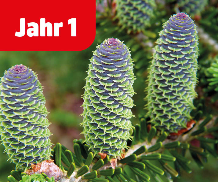 Hangtag-Images_NEU_1