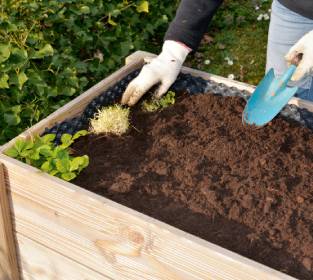 Hochbeet anlegen und bepflanzen – der große Ratgeber