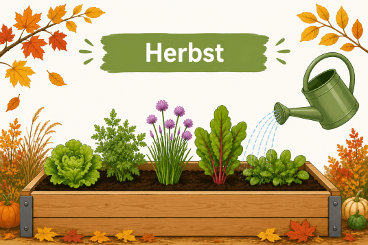 herbst-hochbeet