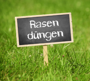 Rasen düngen