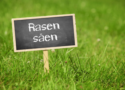 rasen-saeen