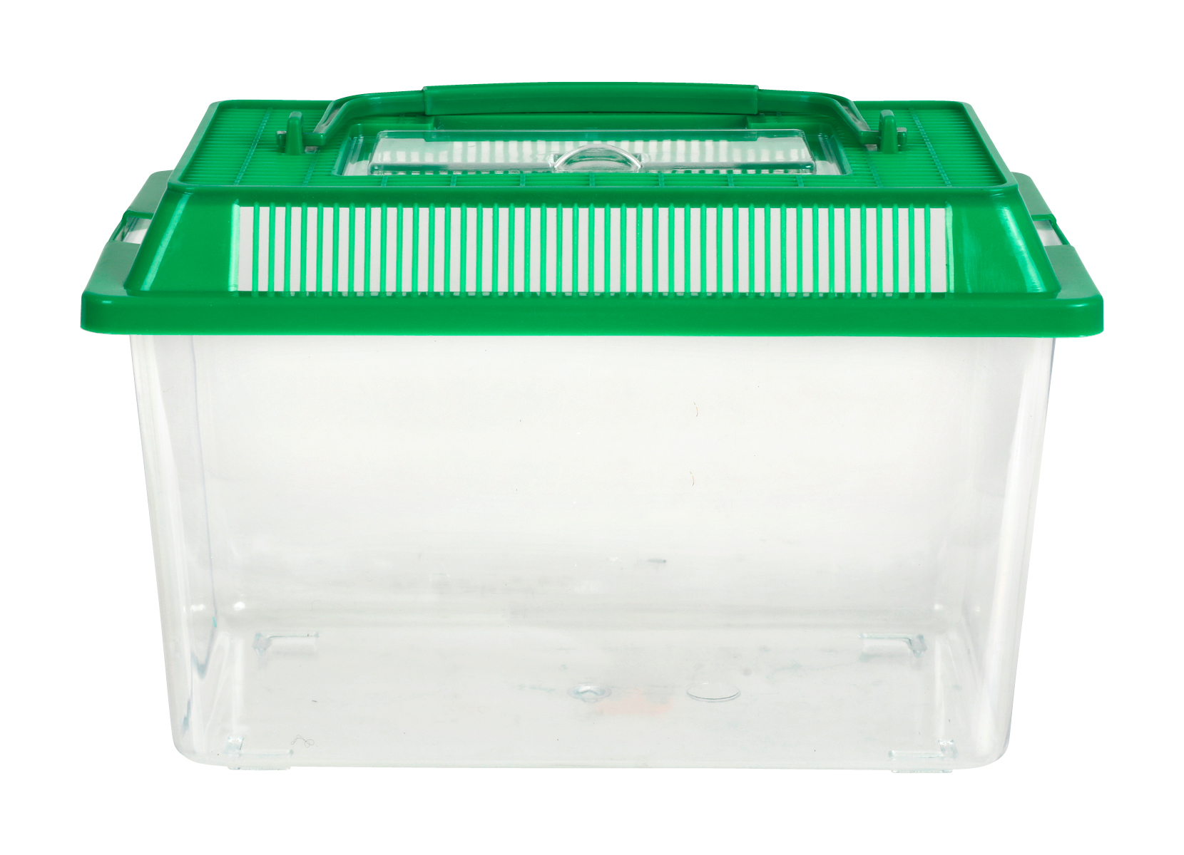 Insekten-Sammelbox