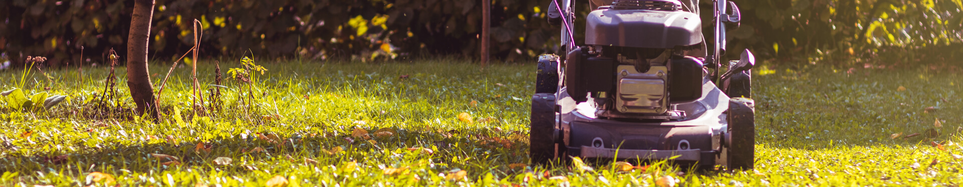 rasenpflege-herbst-header