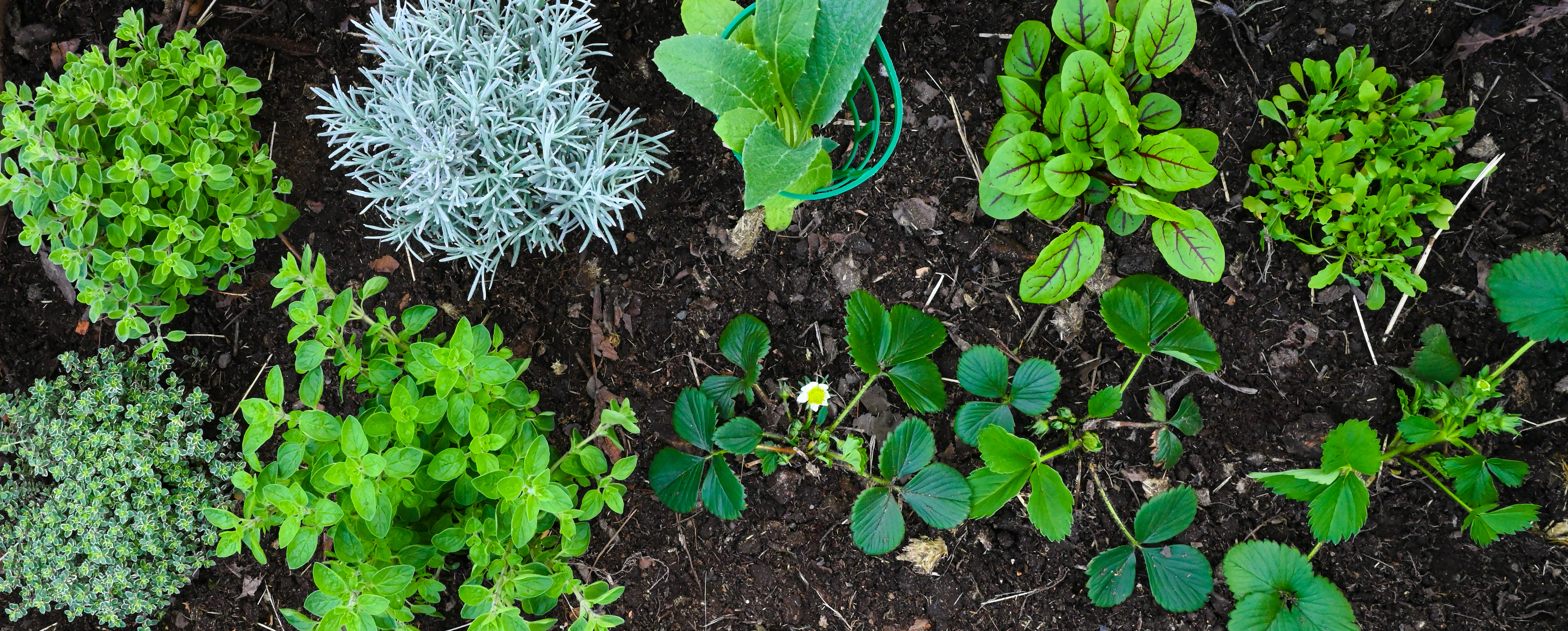 AdobeStock_448093569