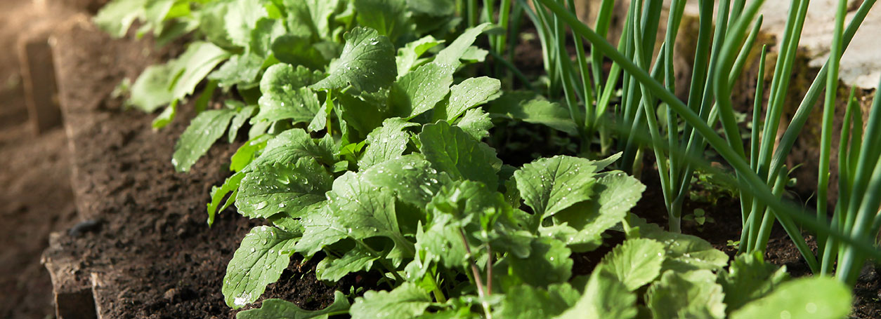 AdobeStock_525037029