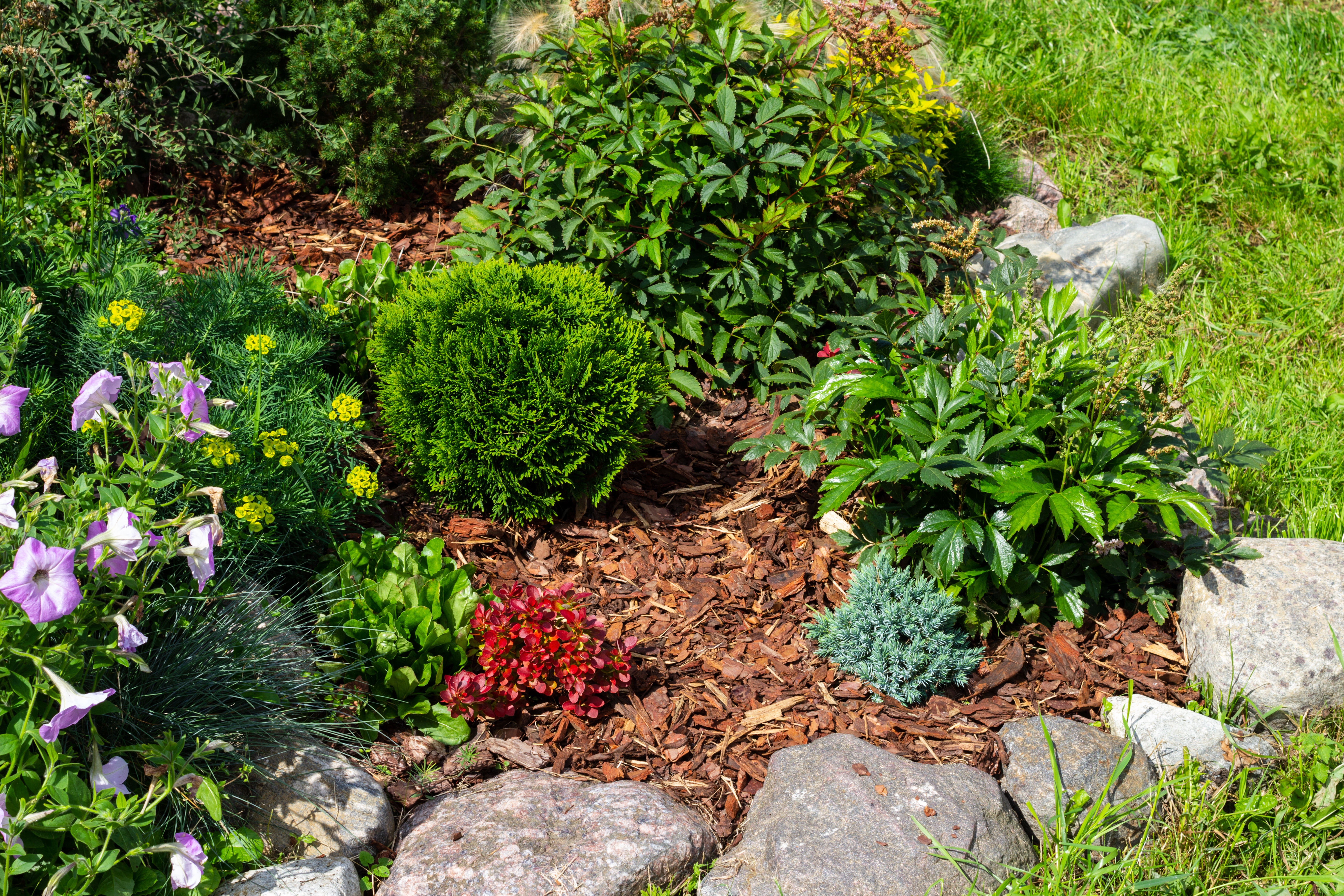 AdobeStock_370244254
