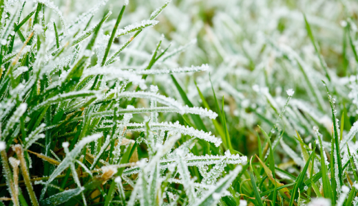 rasenpflege-winter-teaser