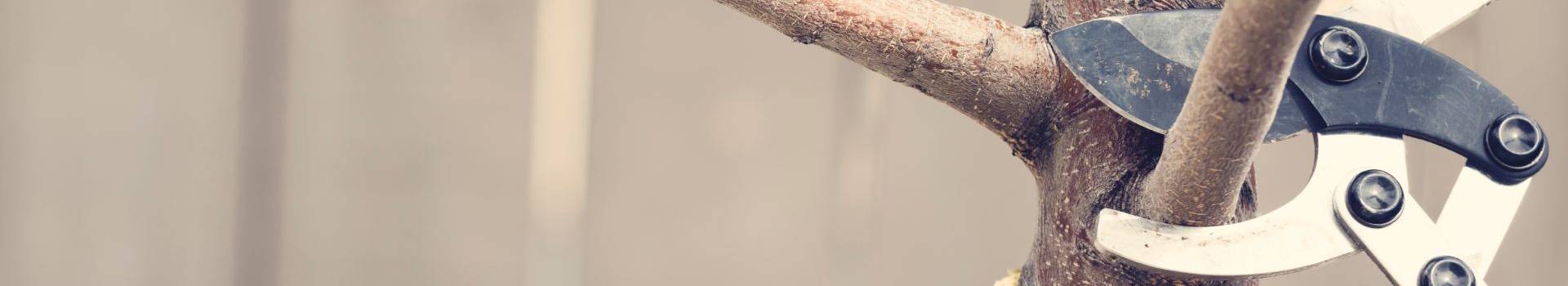 gehoelzschnitt-header