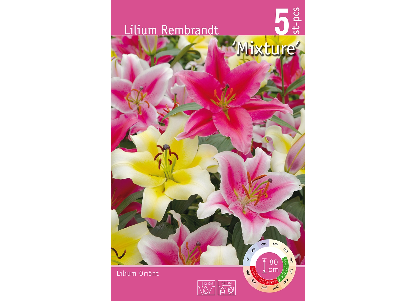 Lilien-Mischung Lilien-Mischung