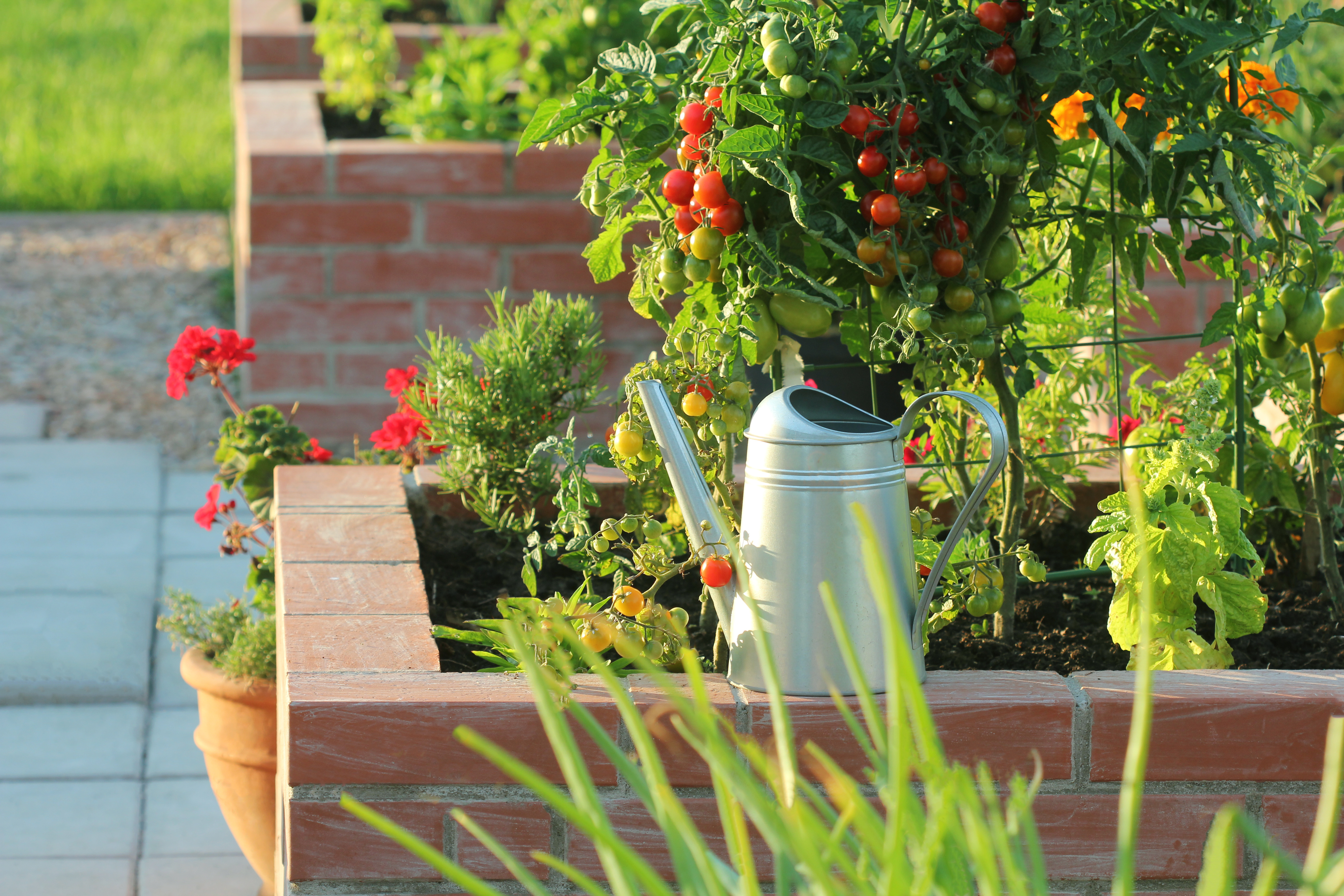 AdobeStock_1919160600