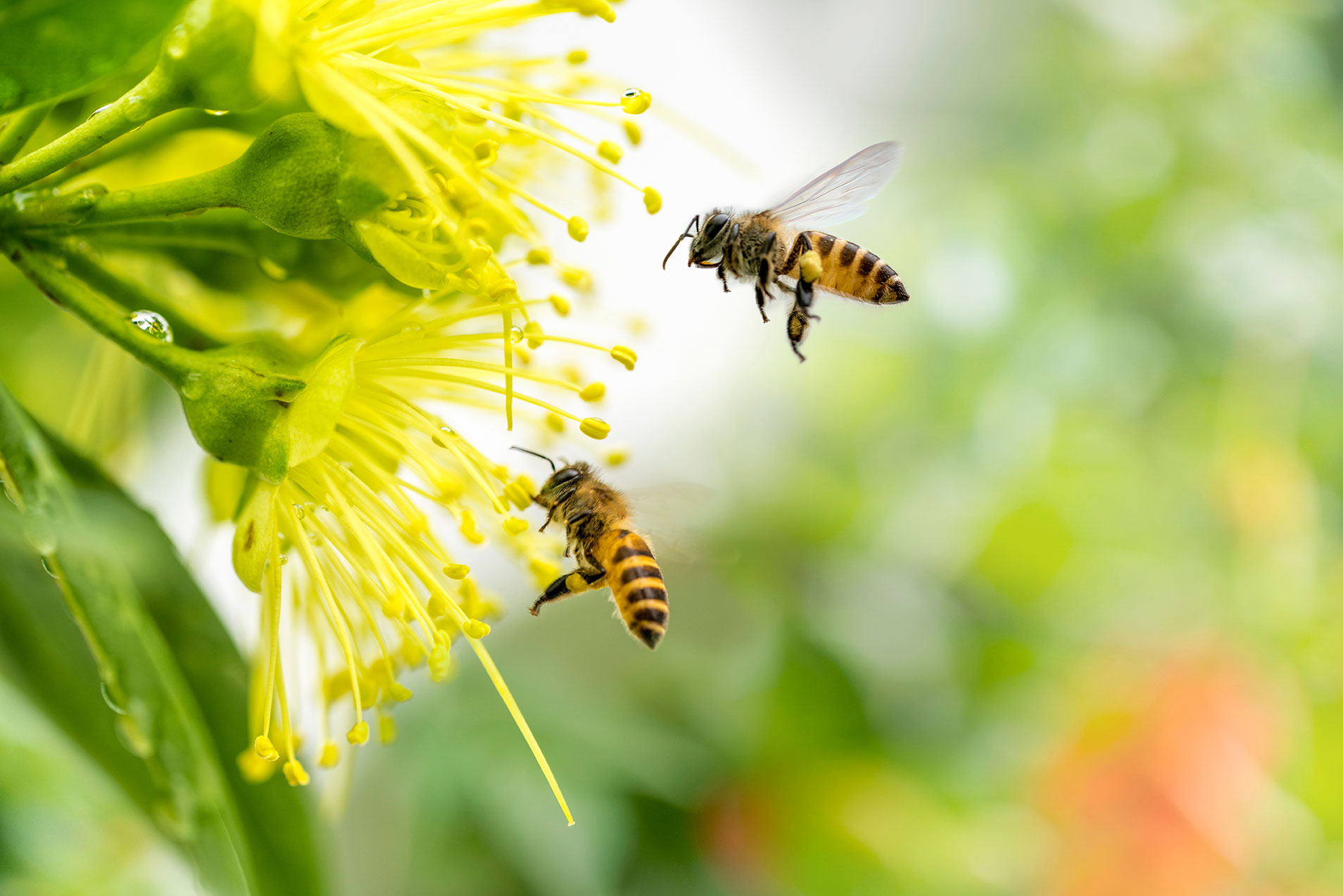 AdobeStock_338624870
