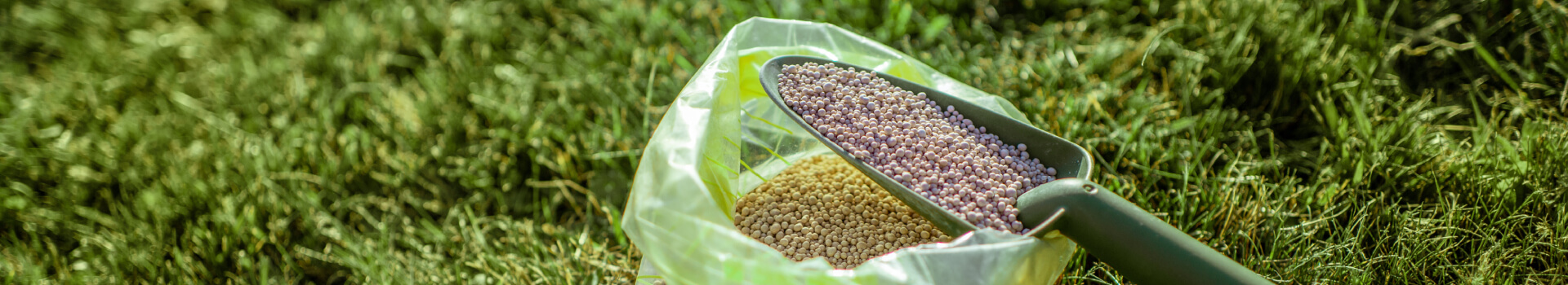 rasen-duengen-header