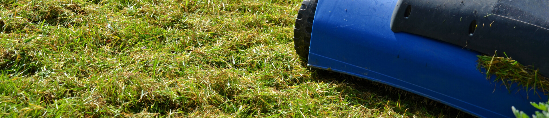 rasen-vertikutieren-header