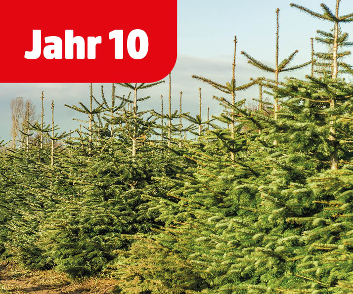 Hangtag-Images_NEU_4