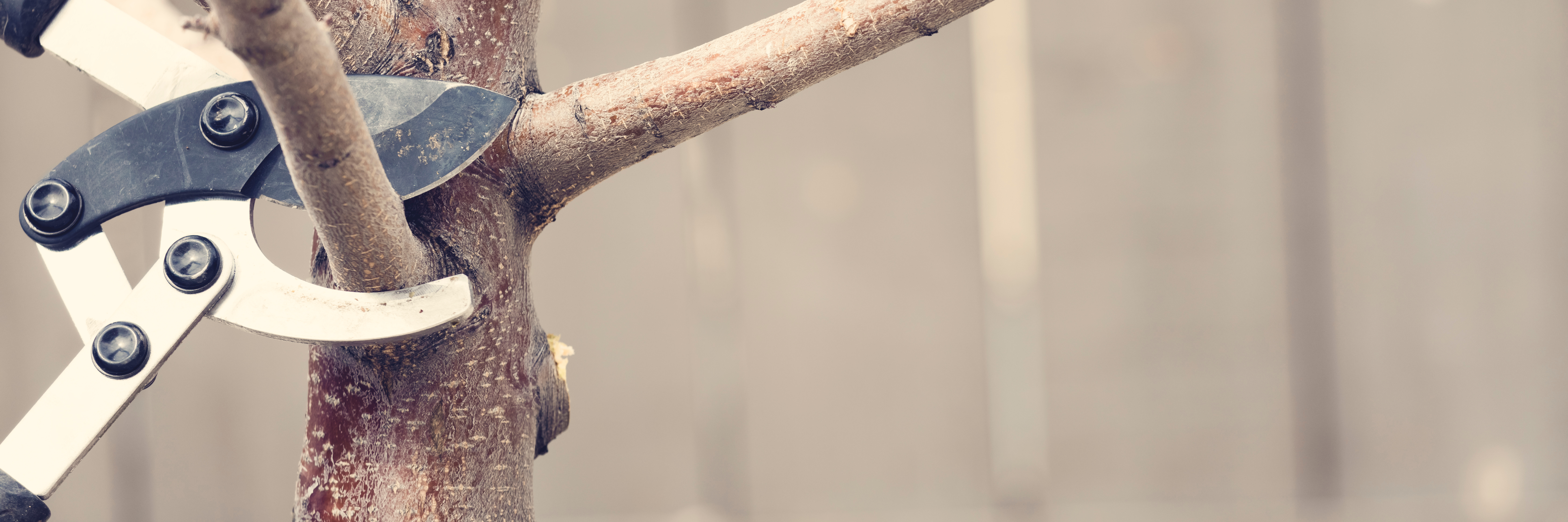 AdobeStock_256962178