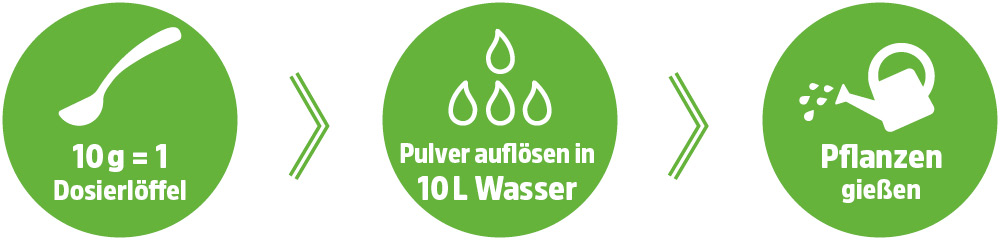 Anwendung-Flower-Power