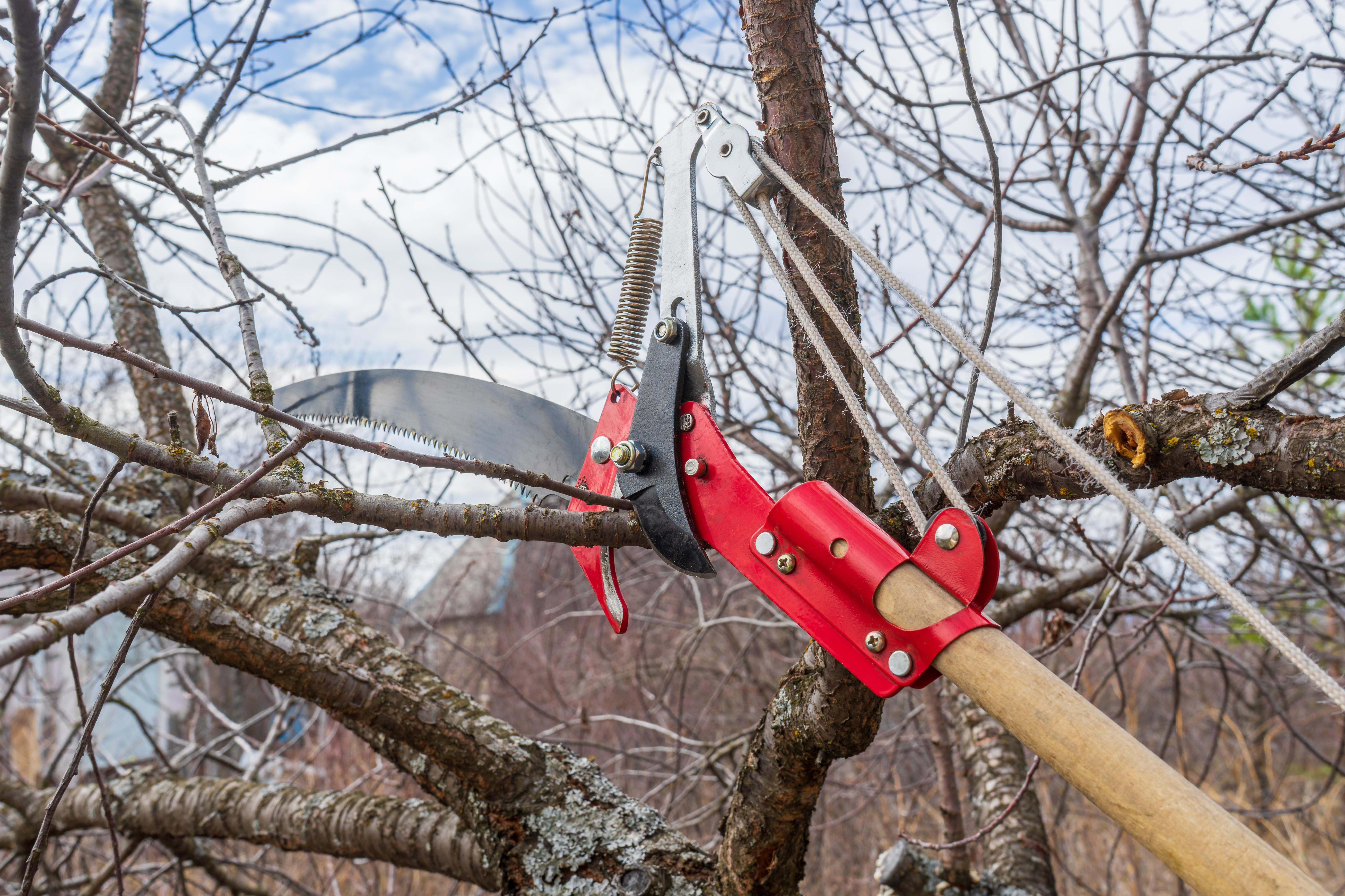 AdobeStock_316737365